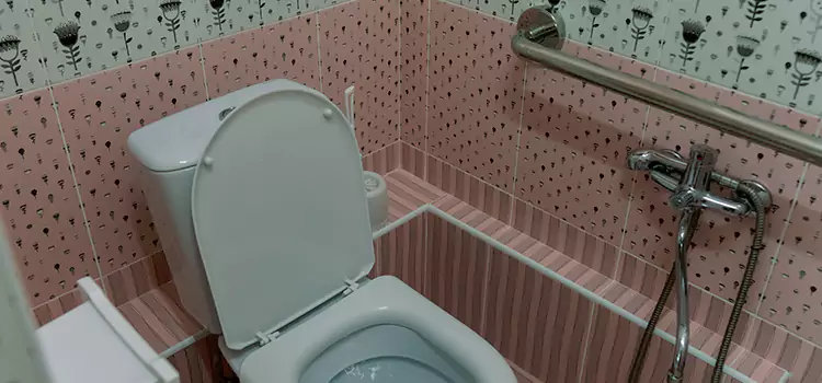 Meeting Diverse Needs With Accessible Restroom Solutions in La Presa, CA