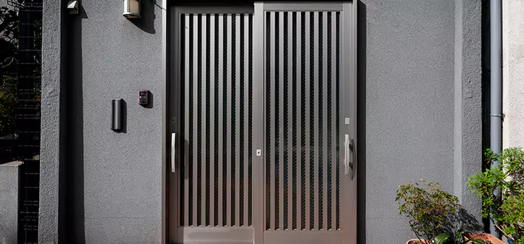 Specialized Steel Door Services in La Presa, CA