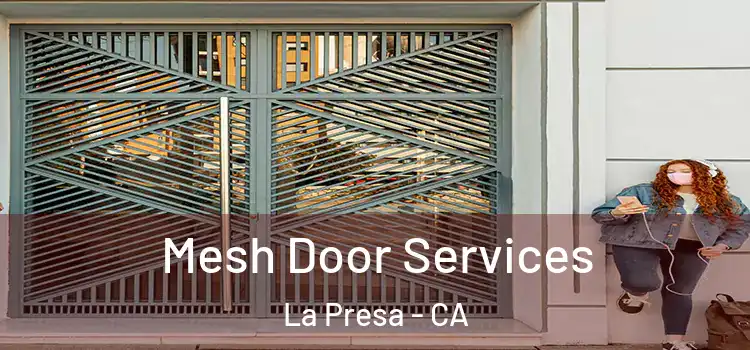 Mesh Door Services La Presa - CA