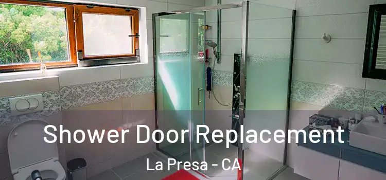 Shower Door Replacement La Presa - CA